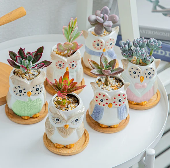 Factory Direct Sales Ceramic Mini Owl Succulent Pots Cute Animal Small Plant Planters Cactus Plants Container Bonsai Pots