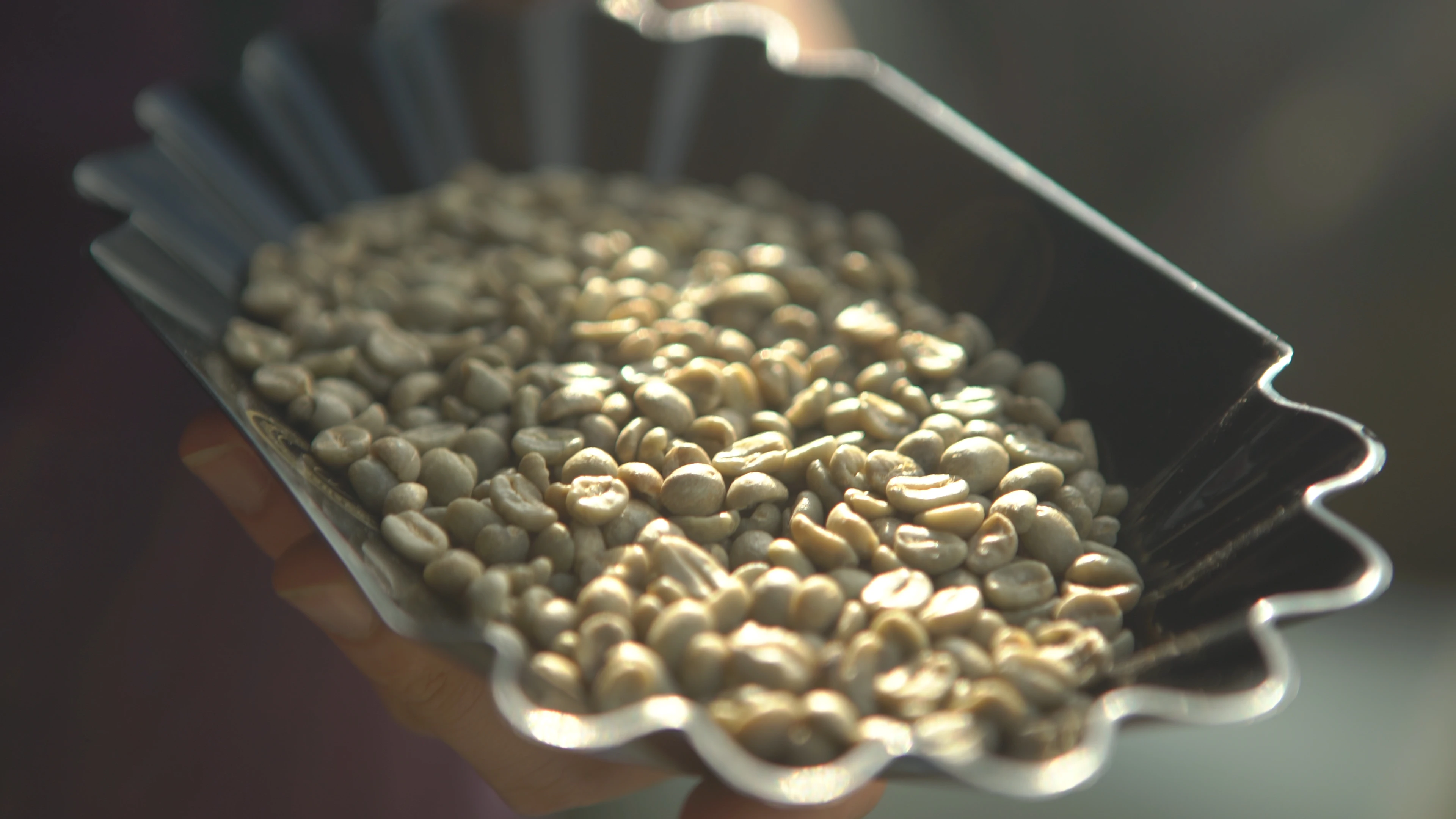 Hight quality of Commercial Konnai Espresso bean from Viet Nam