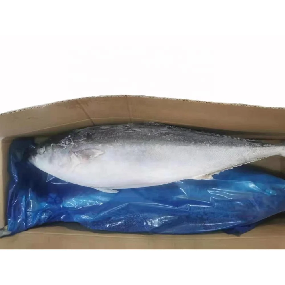 Горячая Распродажа замороженные морепродукты IQF с желтым хвостом рыба цена скумбрия для рынка 8 кг