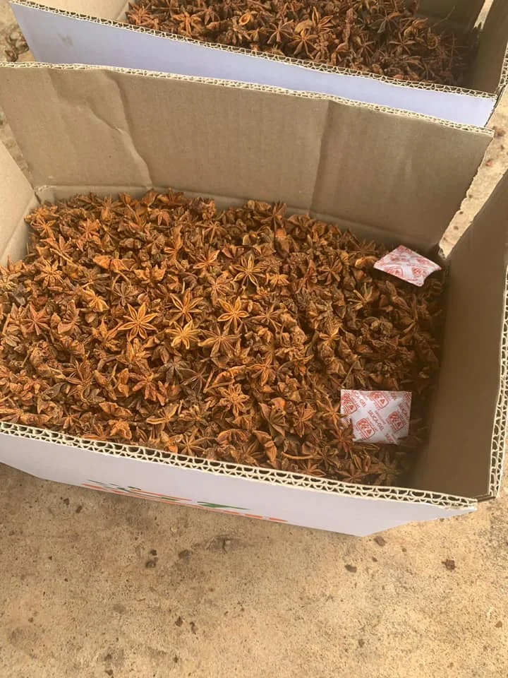 BROKEN STAR ANSIE CHEAP PRICE FOR GRINDING PURPOSE STAR ANISEED BROKEN STAR ANISE CHIPS