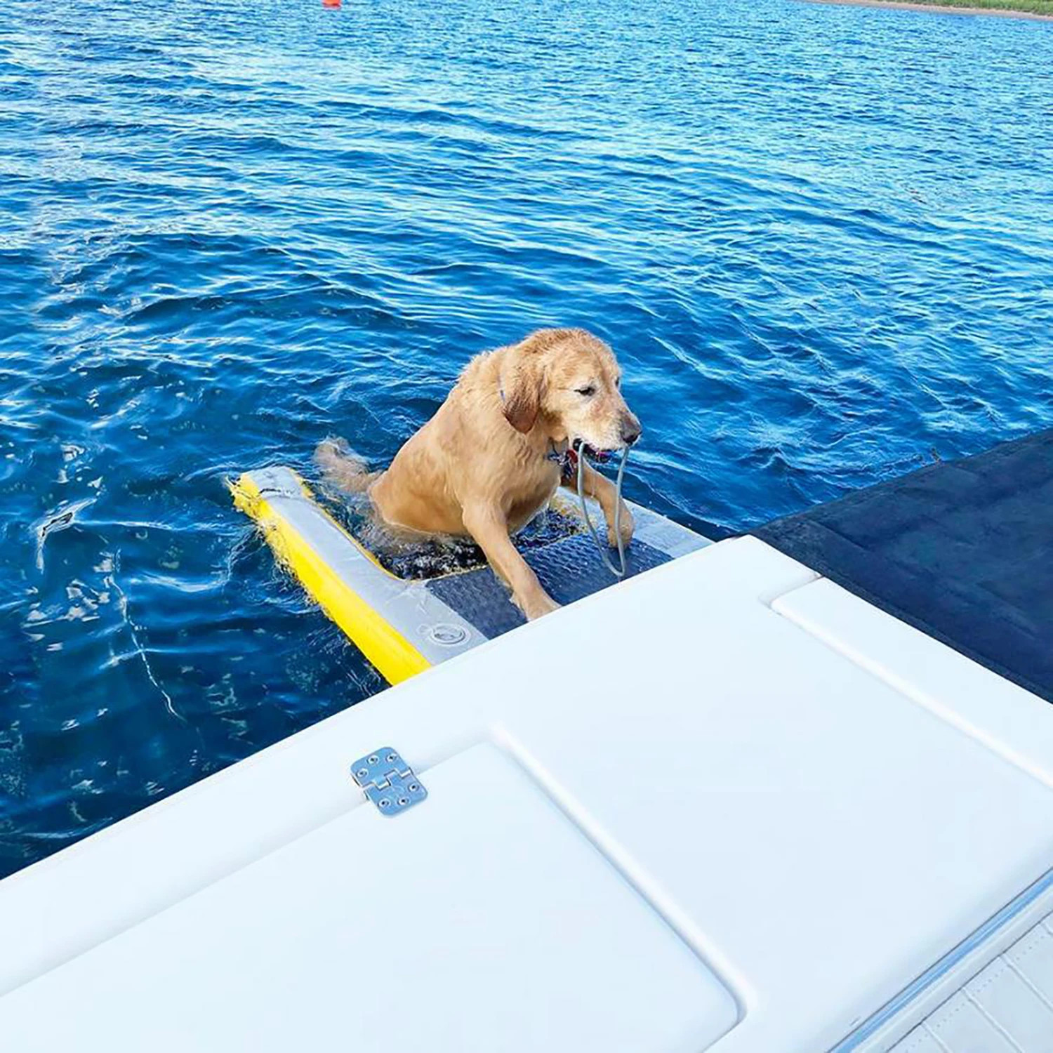 59' Custom Logo Factory Wholesale Inflatable Pet ramp Pet Recreation Dog Pool Ramp For Pool Lakes And Rivers