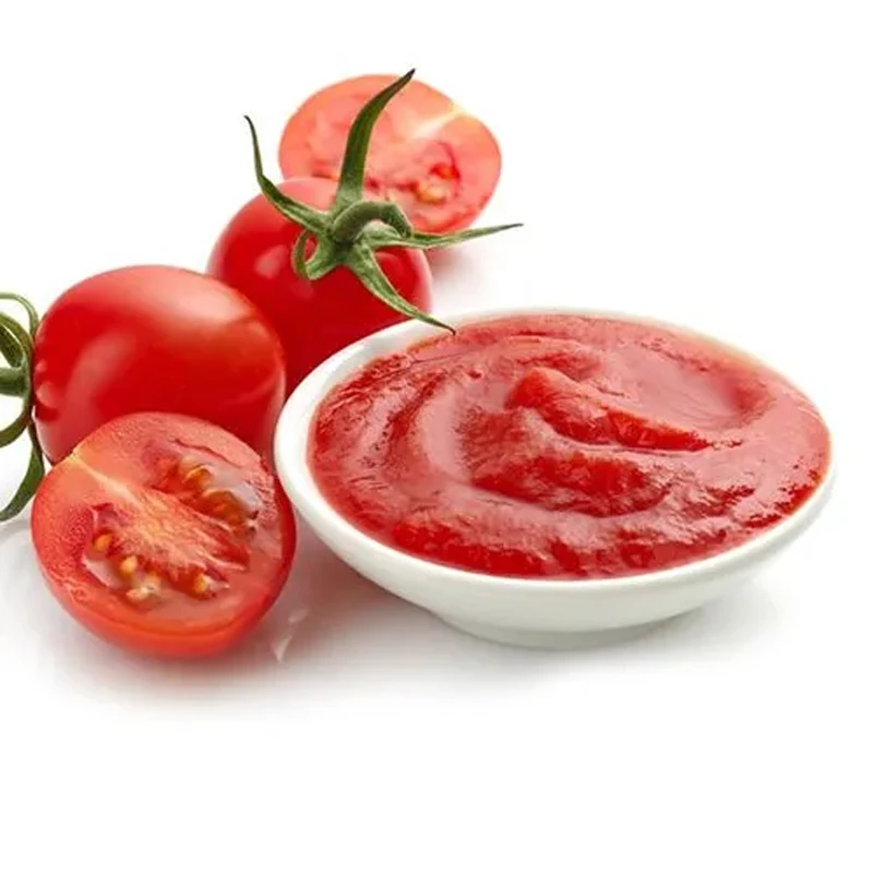 China factory selling tomato paste price per ton