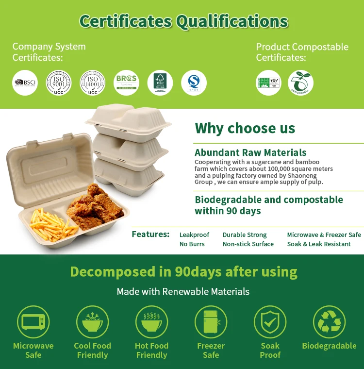 LuzhouPack New 2024 850ml 9 Inch Biodegradable & Compostable Bagasse disposable togo box food