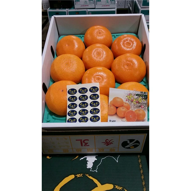 Setoka exotic aroma 3kg cheap sweet import oranges from Japan
