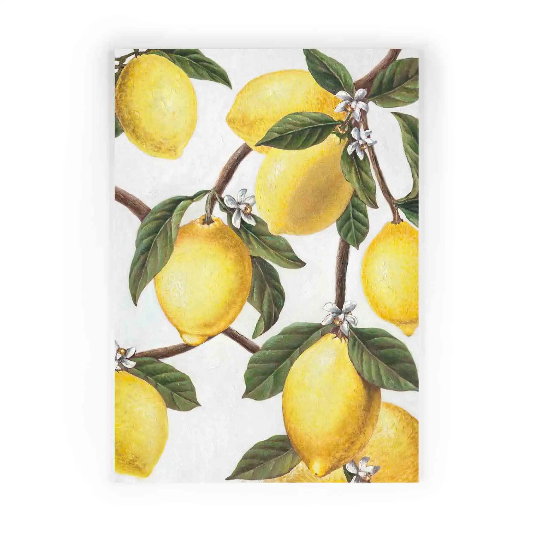Modern Still Life Canvas Wall Art Hand Made Fruit Lemon Oil Paintings Home Hotel Decorative