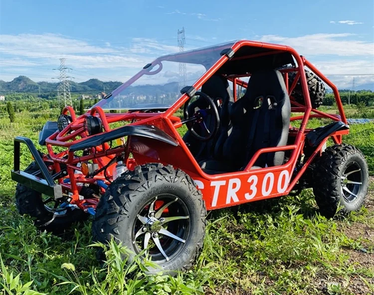 3000cc dune buggy 4x4 for mountain use