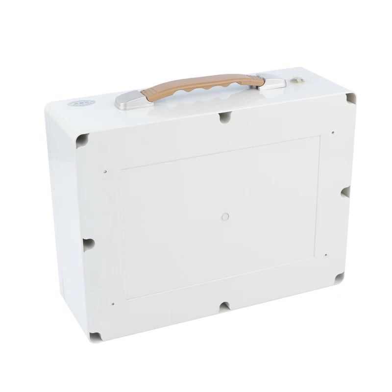 New customized small rechargeable 12V lithium battery pack for outdoor use