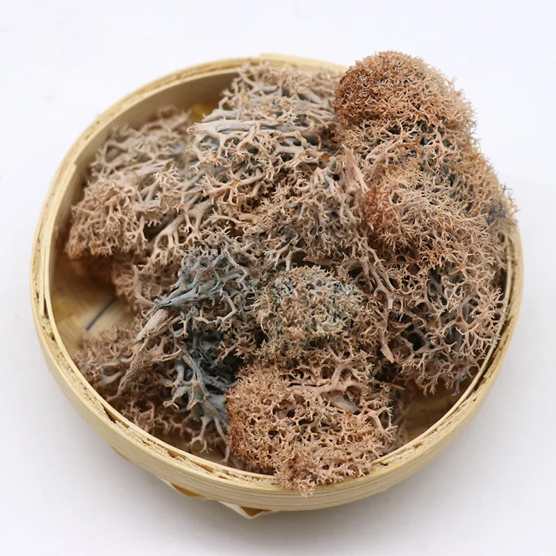 Factory wholesale preserved dried sphagnum moss real natural stabilized reindeer preserved dried moss
