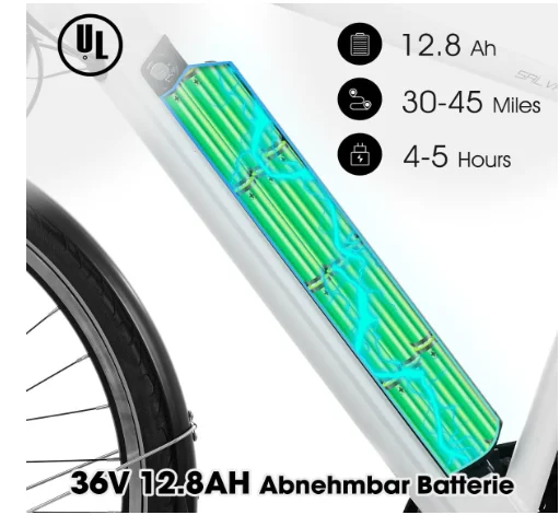 JOYKIE HILAND 28 inch 36V 250W electric city bike with disc brake