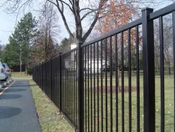 Decorative Low Price High Quality ISO9001 Cheap Wrought Iron Fence/Metal Steel Fence