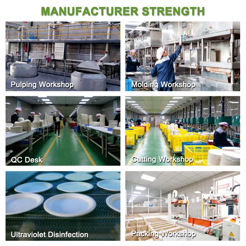 Manufacturer microwave take away Sugarcane Bagasse food container disposable clamshell box packaging fruit for restaurant street