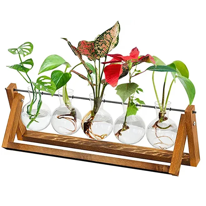 New Arrival Desktop Propagation Stations Planter Glass Vase for Tabletop Hydroponics Plants Dining Table Centerpiece Decoration