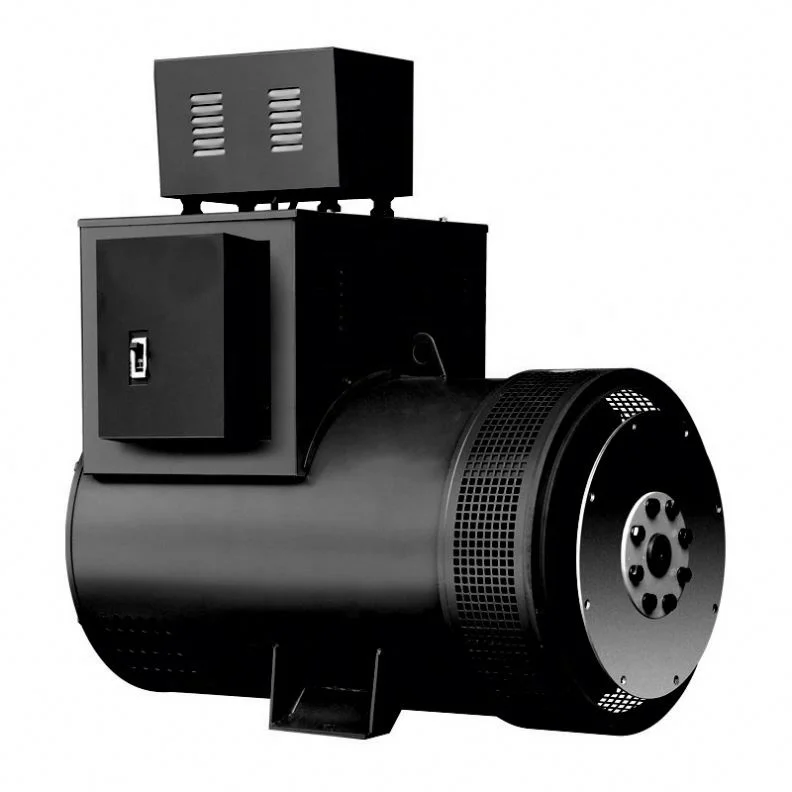 High Efficiency Brushless 40 Kw Alternator Two Bearing Generator