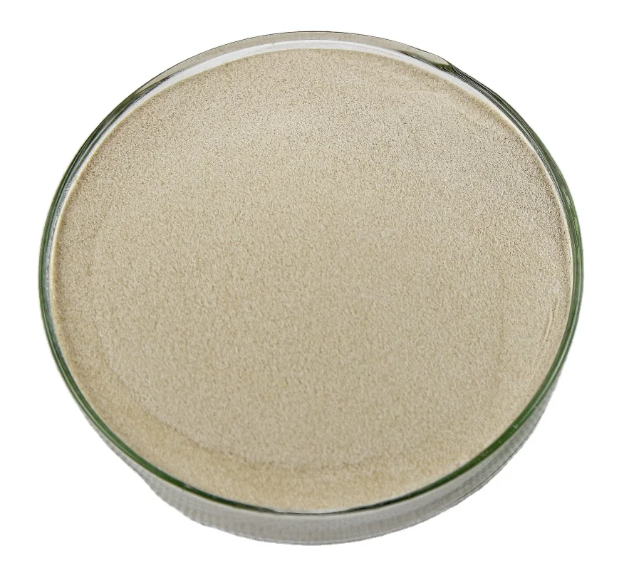 Hight Quality Natural Chitosan Lactate In Stock