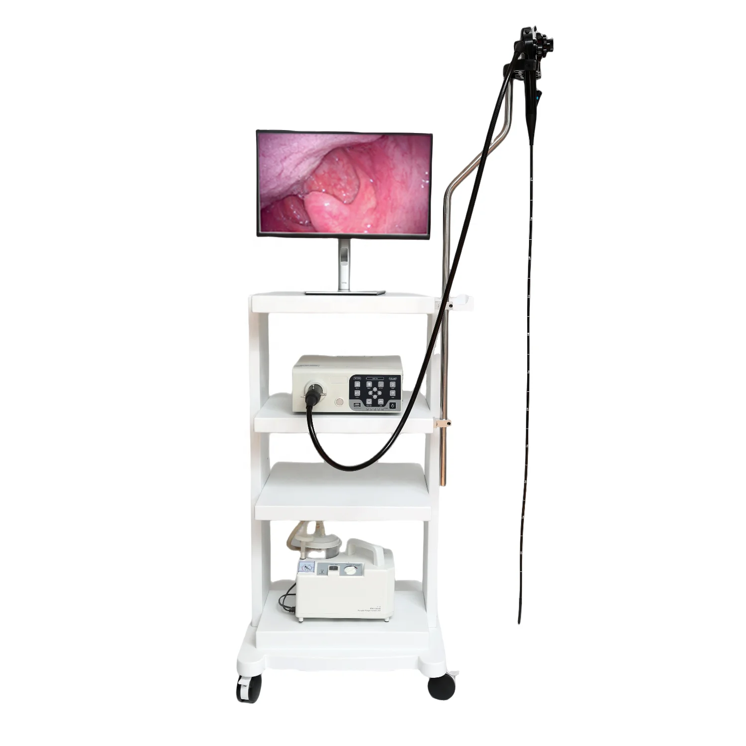 Vericare veterinary endoscope endoscope system VET-3313 for Equine cattle dolphin