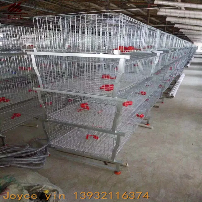 Chicken layer battery cage for layer chicken popular in Africa market