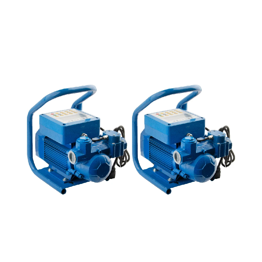 Cavitt 12v/24v/220v Quantitative Explosion-proof Reel Pump Portable Fuel Pump Quantitative Flow Meter Gasoline Pump