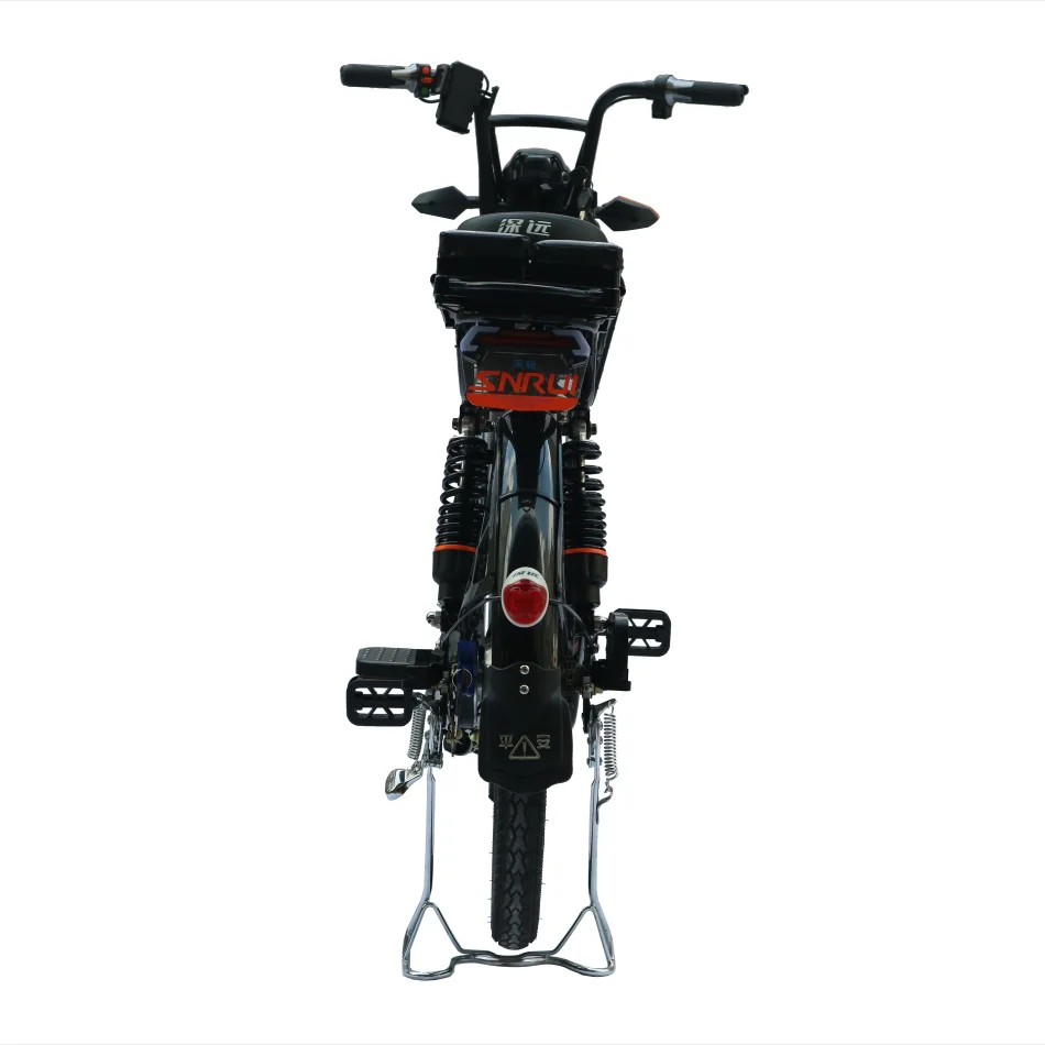 Manufacturer Hot Selling Retro Sports Frame Electric Bike 24 Inch E Bike from Donguan