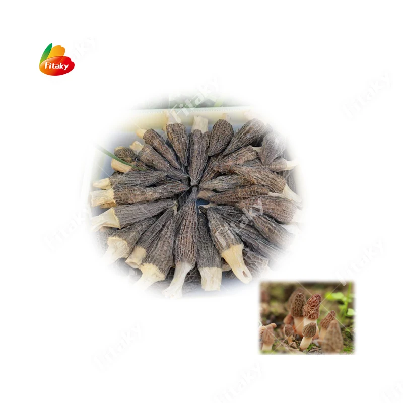 Большие объемы органические сушеные в замораживании