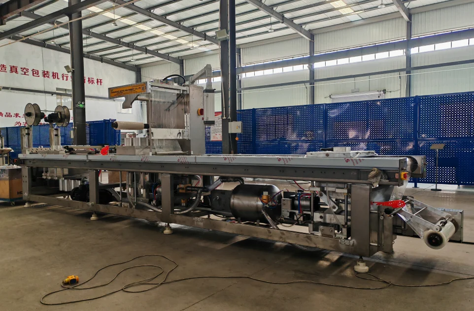 INCHOI Customized Thermoforming Vacuum Packing Machine/Sandwich Packing Machine/Vacuum Packing For Tuna Steak