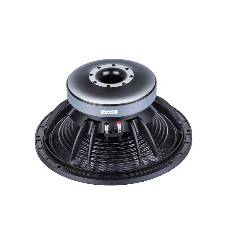 15TTX100 high quality amplifier speaker