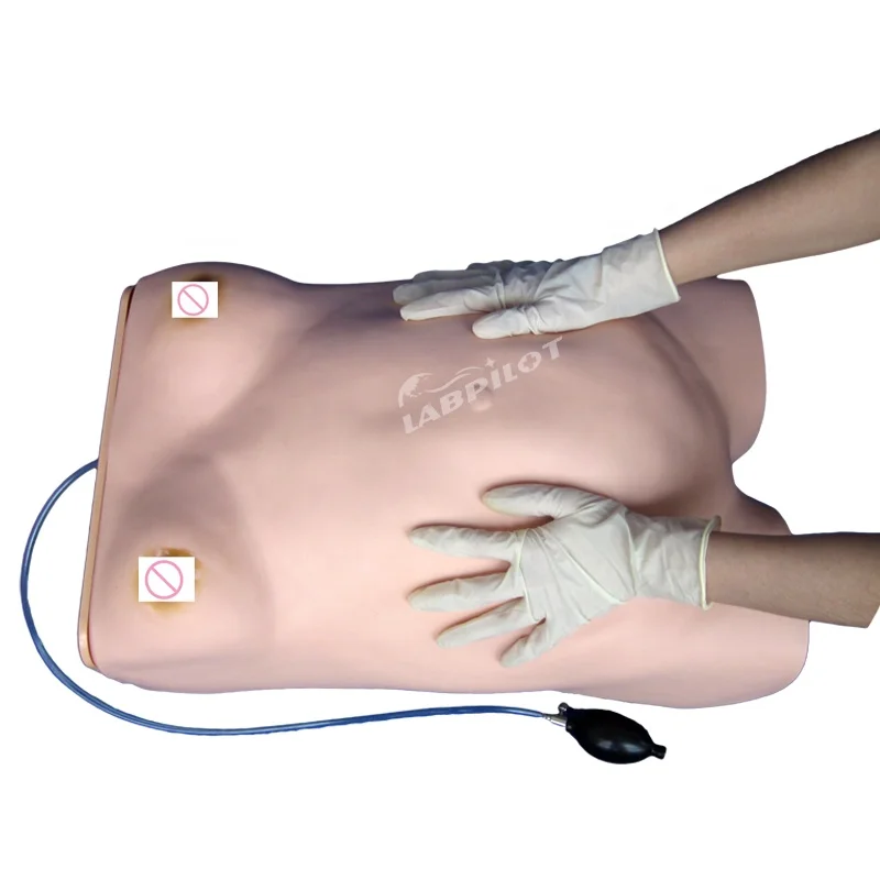 Maternity Examination Simulator Pregnancy Manikin Auscultation Teaching