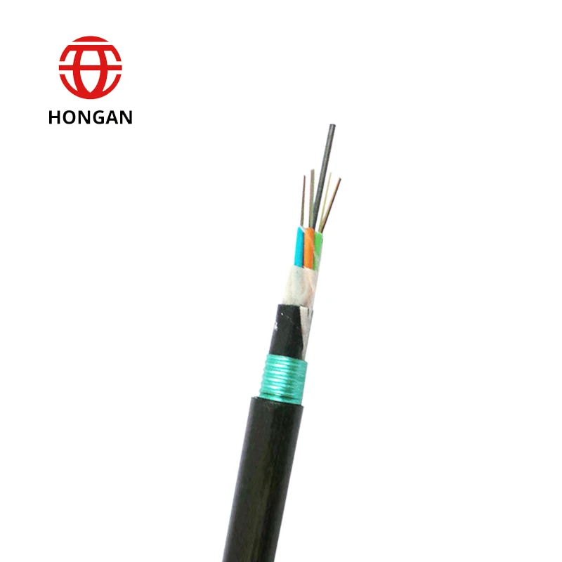 12 24 48 98 120 Core Single Mode Armored Fiber Optic Cable with Psp Alp