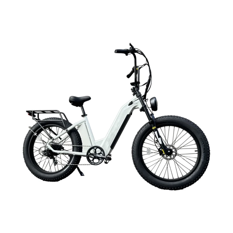 52V 750W 1000W Motor 20Ah Battery Retro Vintage harley Ebike Land Sand Beach Cruiser Road Fat Tire Electric E Bicycle Bike