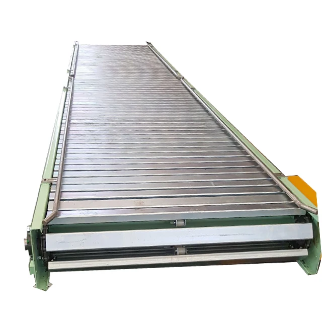 DW Belt dryer for vegetable & fruit