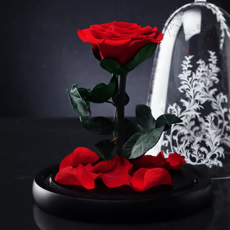 Rose Beautiful Artificial Red Eternal Rose Preserved Flower With Led Lights in Glass Dome for Festival or Birthday