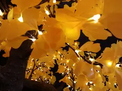 Outdoor white Ginkgo leaf led tree light for weddings decoration