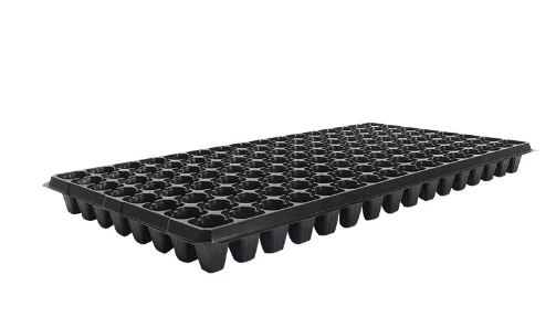 Hot selling watermelon, lemon, and mango seeds cultivation, growth, and blister tray