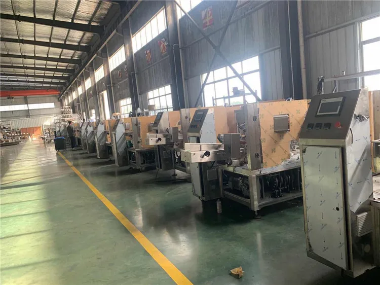 LTC8-300 Auto Cat Litter Doypack Zipper Big Pouch Weighing Filling Sealing pouch Packing Machine for 3KG line price