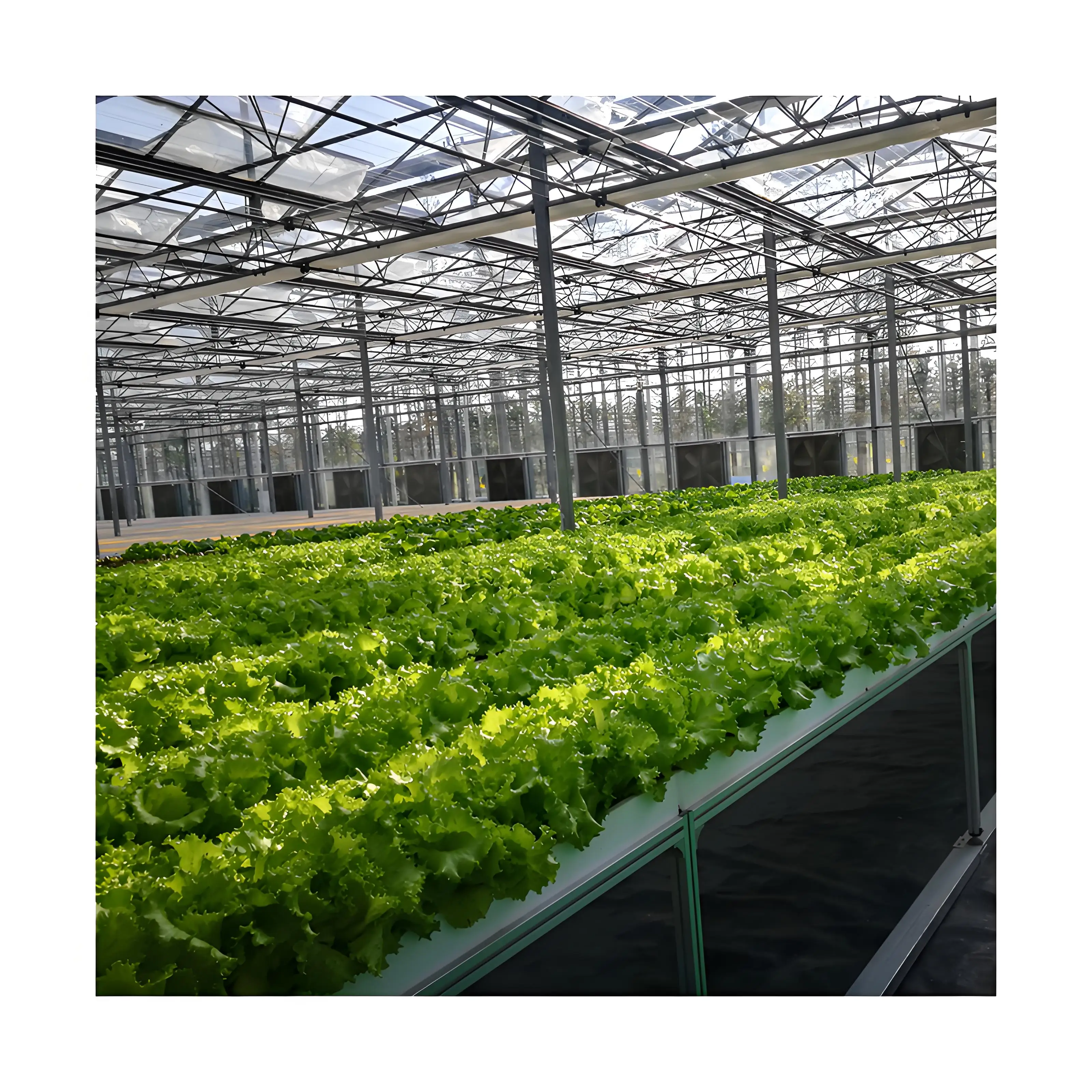 China Factory New designed Super farm Hydroponic NFT growing system nft channel pvc Vertical/Horizontal nft