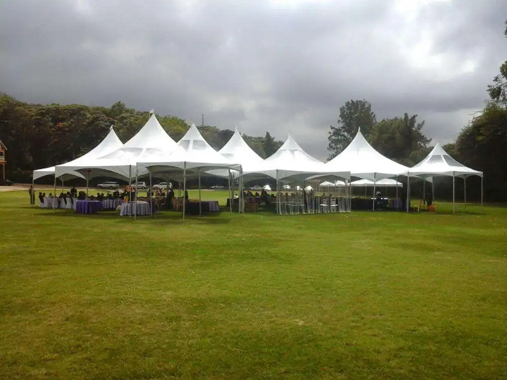 Big 20x20 Outdoor Canopy Circular Heavy Duty Exhibition Wedding Commercial Marquees Pagoda Tent