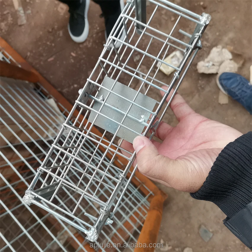 Traditional metal mouse trap cage reusable rat trap cage live mice trap for garden rodent control