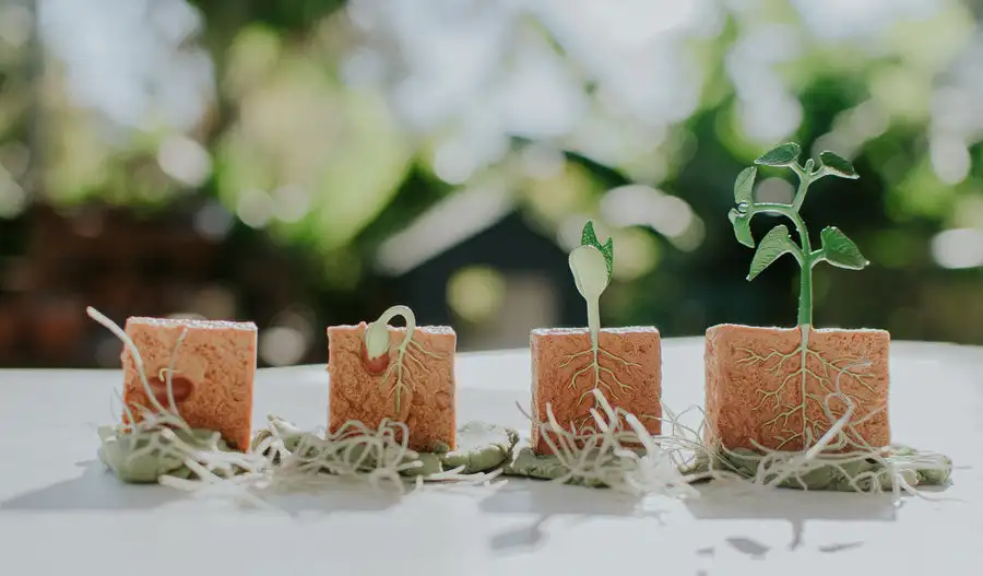 CPC CE Life Cycle Toys, Animal Figurines Toys Preschool Learning Education Montessori Toys for Kids