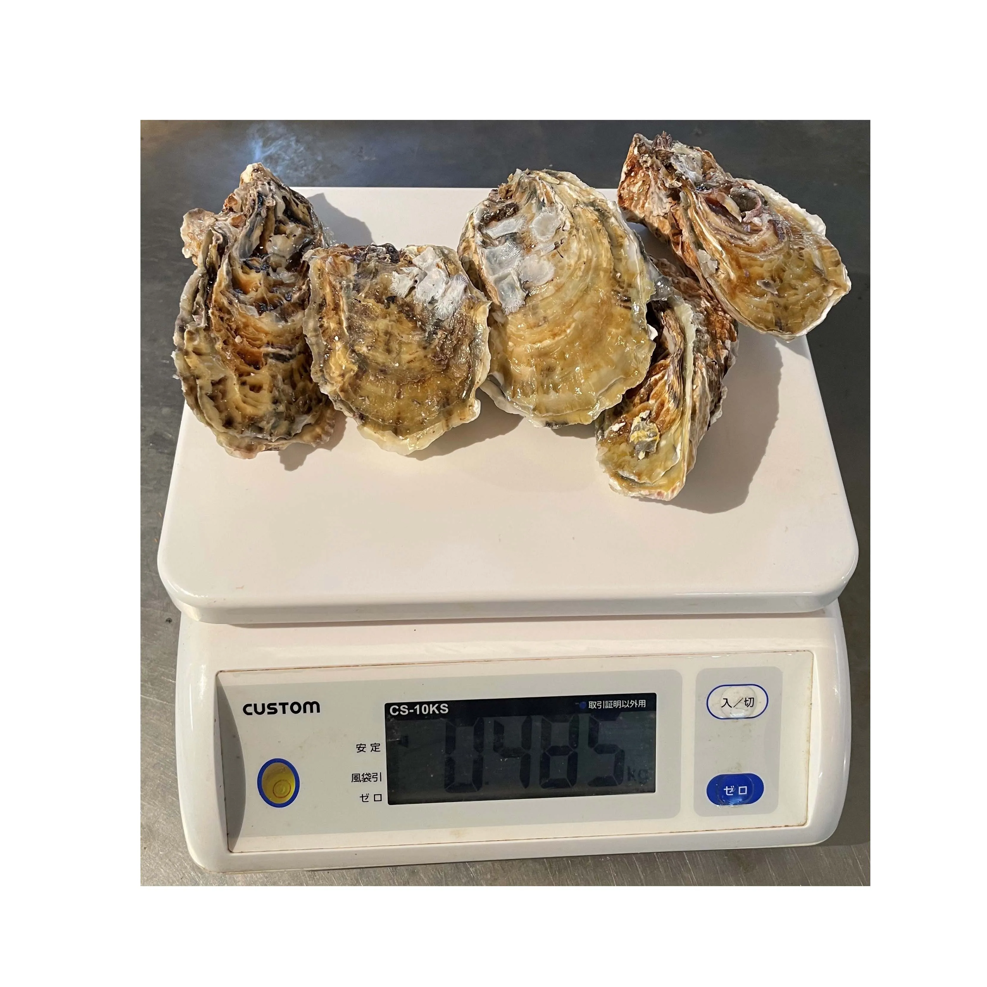 
Japanese wholesale private label seafood oyster meat with bulk 