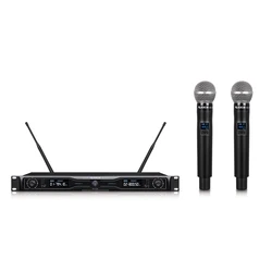 Hot Sale Professional 2-Channels UHF True Diversity Wireless Microphone System