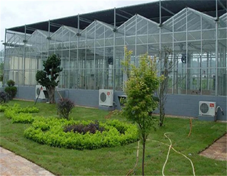galvanized venlo greenhouse insulated tempered agriculture glass greenhouse
