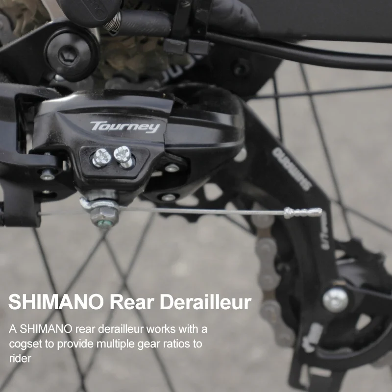 Classic Style Multipurpose cargo light Weight Ladies city road Electric Bike 36v 48v 26inch 500W 10Ah Cycle Charging E-bike