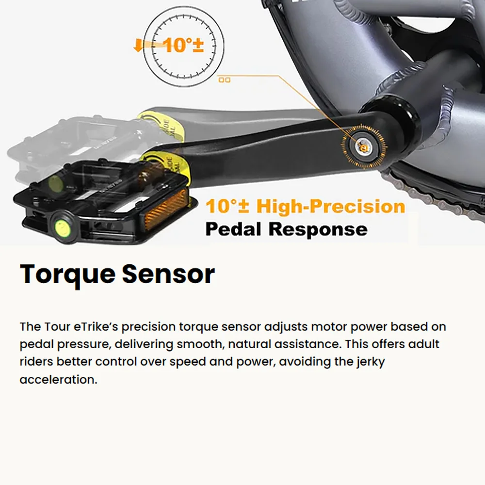 High Quality Cargo Fat Tire Double Batteries Lithium 3 Wheel Electric Bicycle 20inch Etrike Cargo Electric Tricycle for Adults