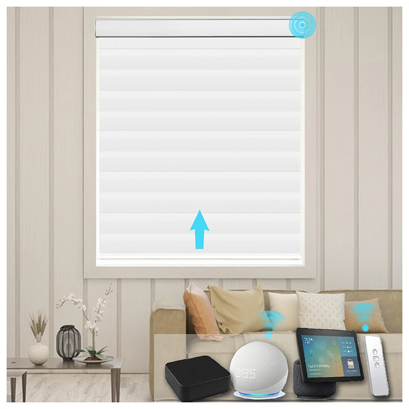 Motorized zebra roller shade electric remote control smart living room curtains day and night zebra blinds for windows