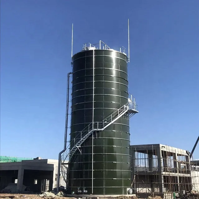 WS3000m3 Organic Anaerobic Digestion Biogas wastewater treatment plant For Livestock breeding Animal Manure treatment 1 - 1 sets