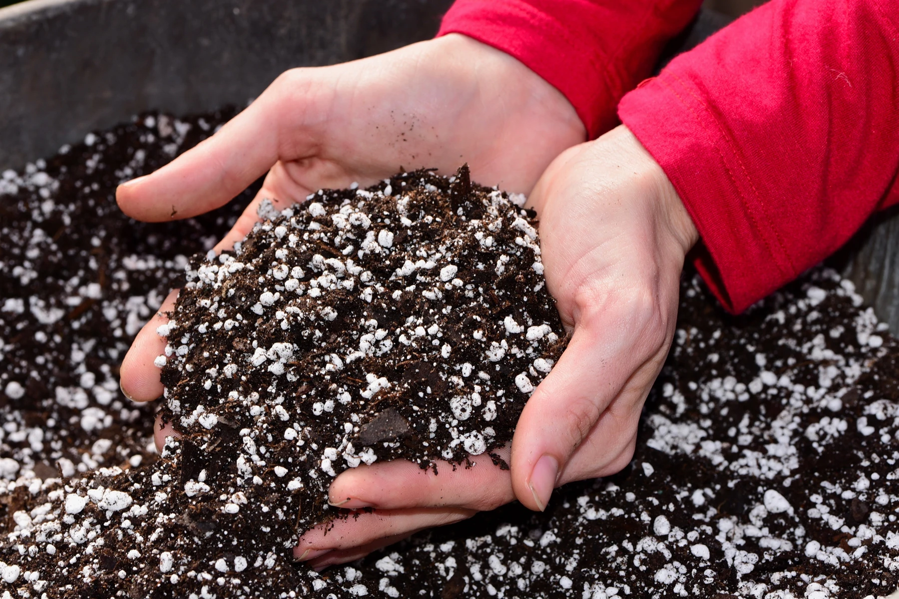 3-6 mm Expanded Perlite Horticultural Soil Additive Potting Soil for Plants