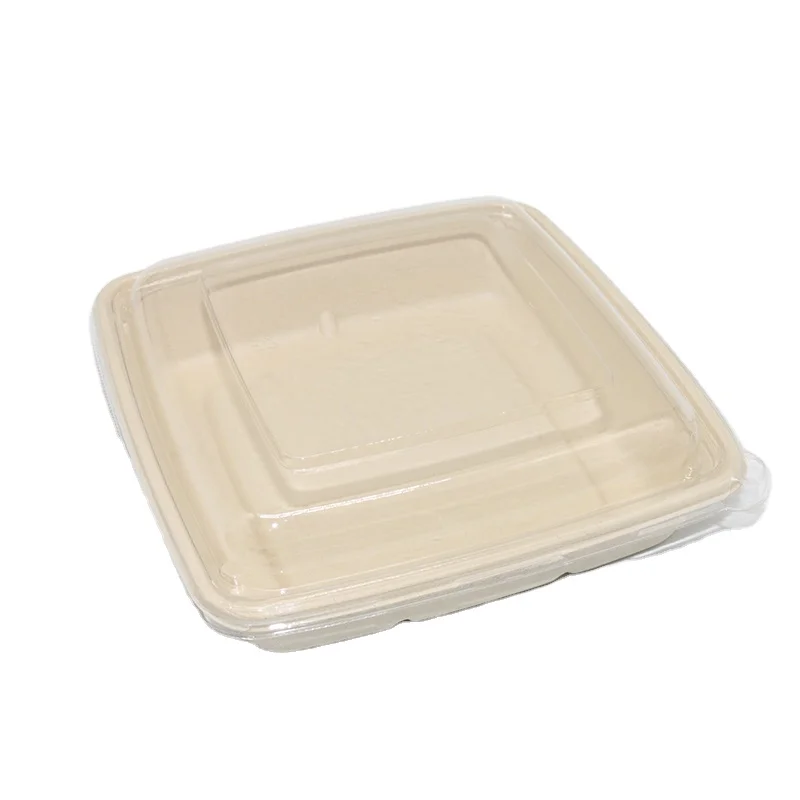 Eco Friendly Square Box Food Packaging Sugarcane Bagasse Pulp Tray Takeout To Go Container With Lid