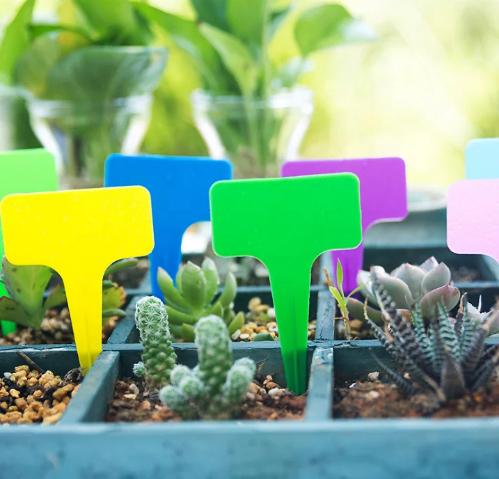 Недорогая T-образная водонепроницаемая пластиковая вставка ярлыки для сада посадочная этикетка сделано в Китае