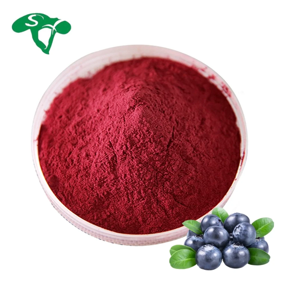 Factory Supply Spray Dried Water Soluble Organic Fruit Extract Blueberry Powder