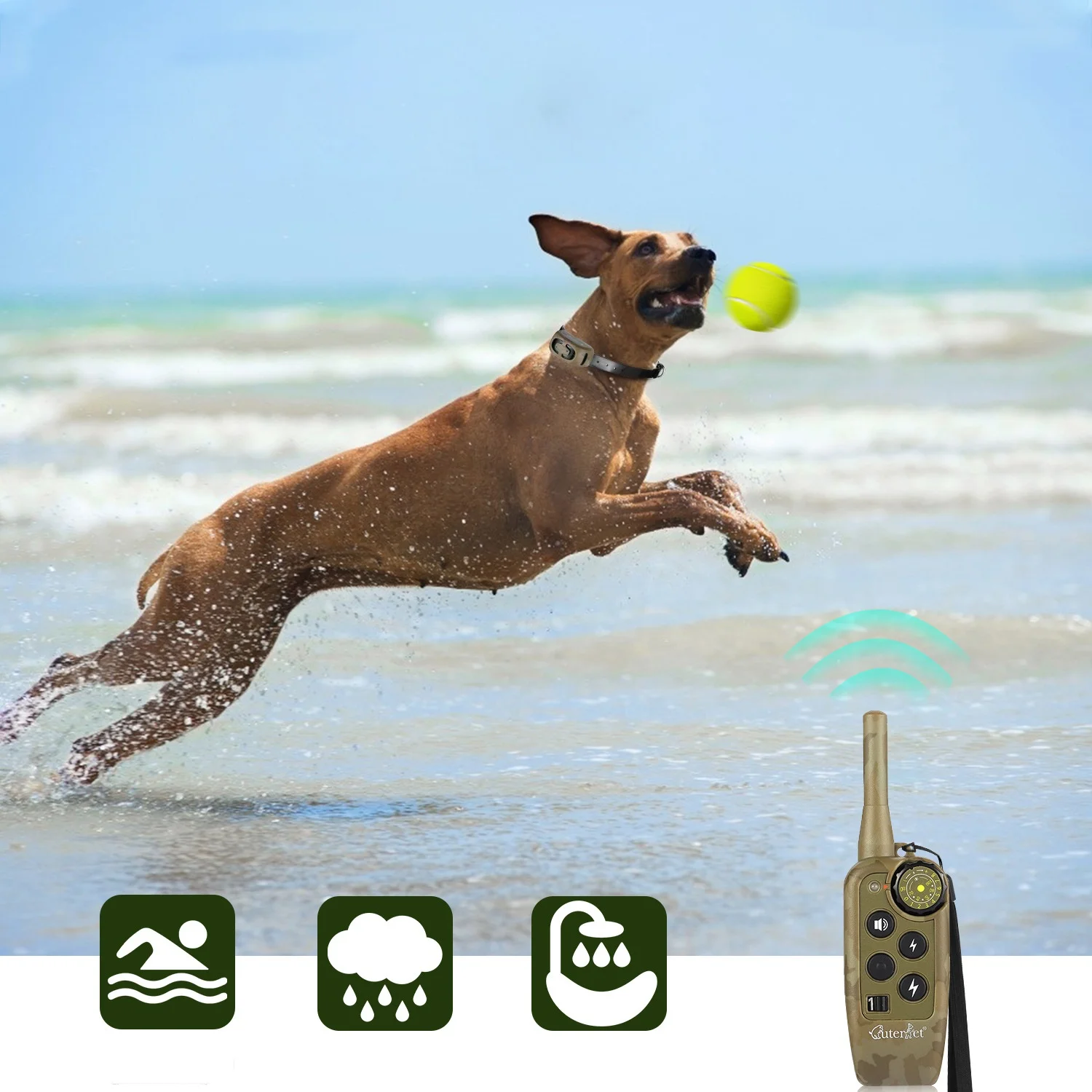 Ly Dog Beeper Collar Accessories Pet Collars & Leashes Dog Collar Metal Buckle Gold Dog  Pet Training Products