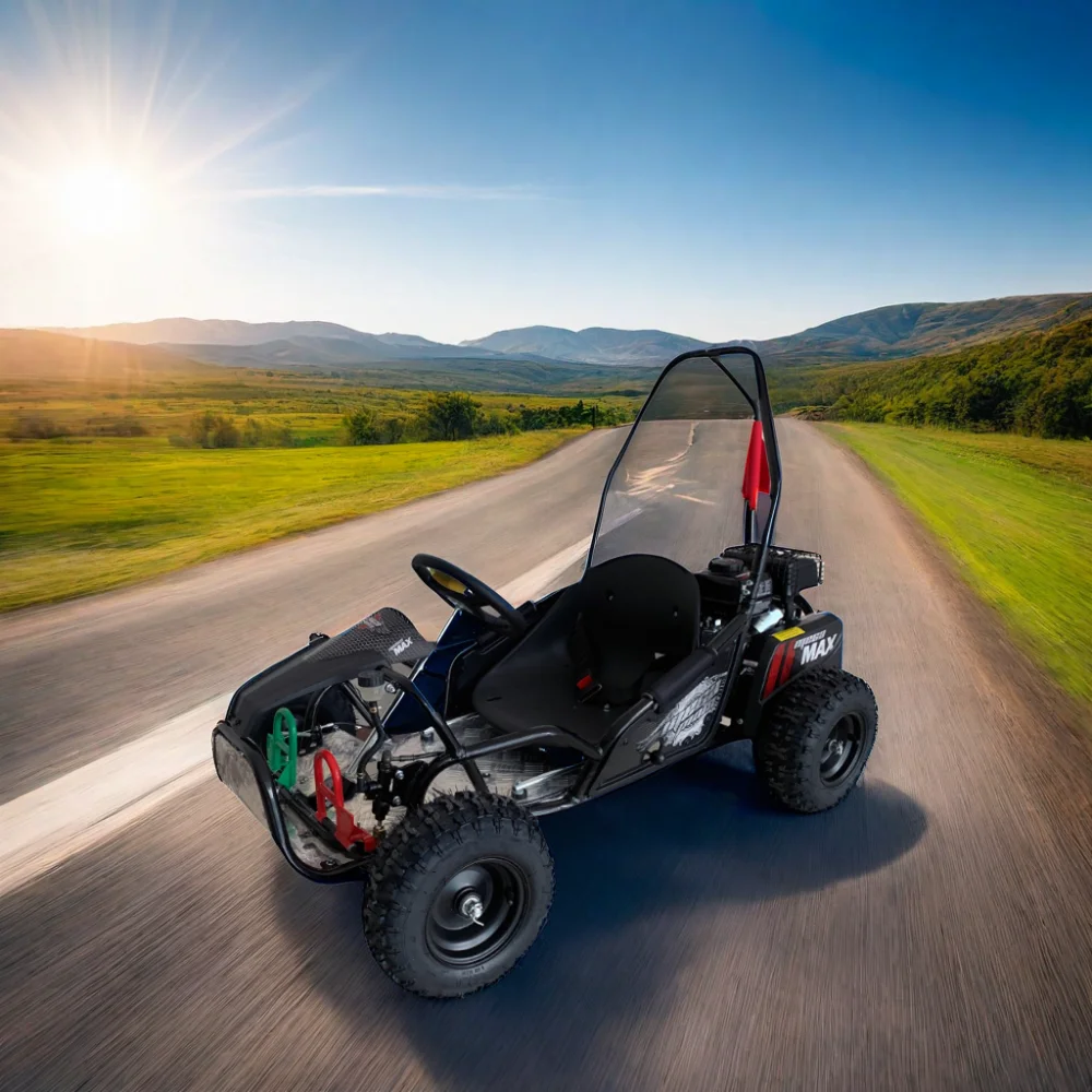 Professional Electric Go Karts Gasoline Powered Karting 37km/H Racing and Drift Go Carts